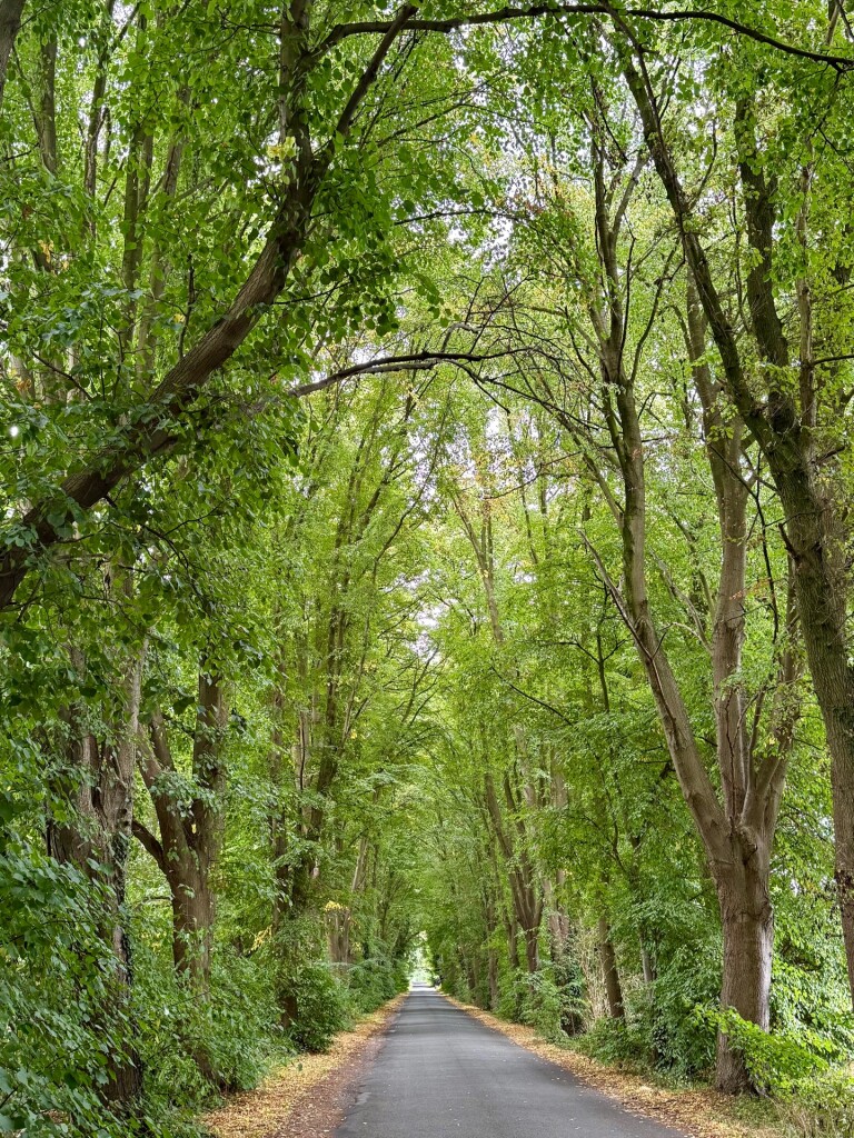 Goch - Kevelaer station · Maas-Niederrheinpad etappe 8