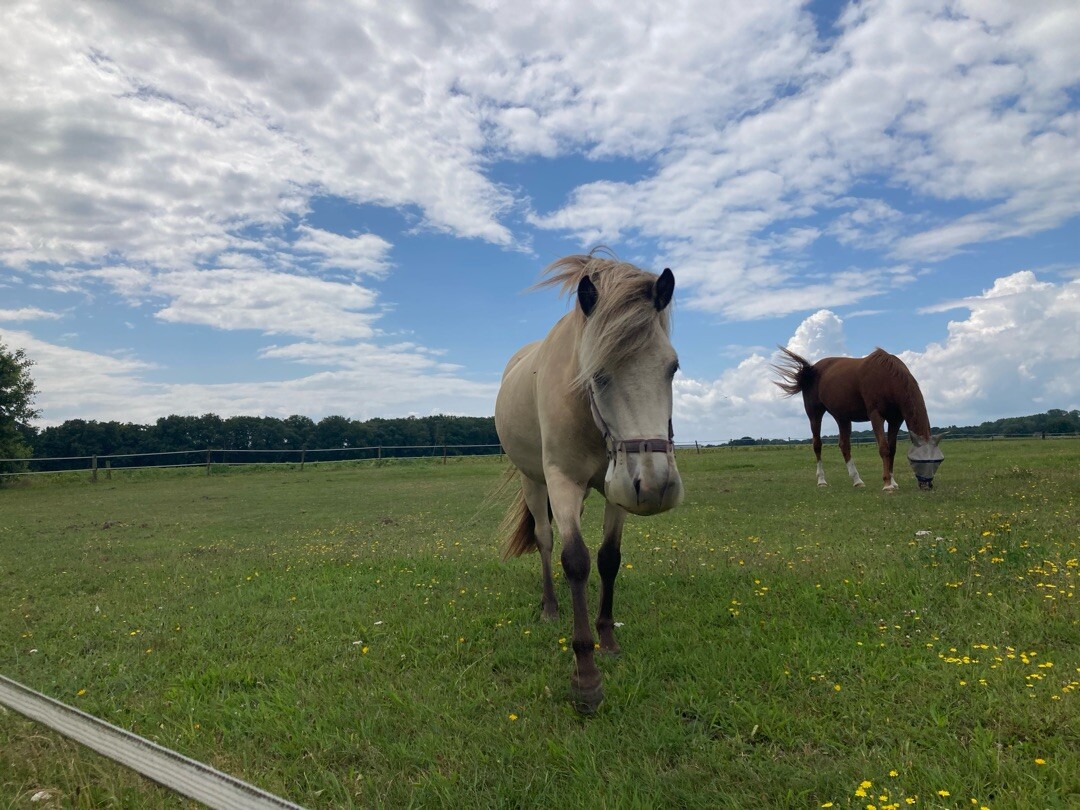 Boswachterspad Deurzerdiep 
