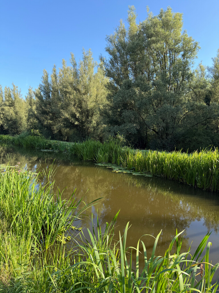 Wandelroute Bieslandroute