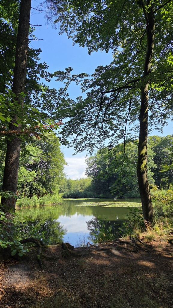 Wandelroute Springendal Bronnenroute