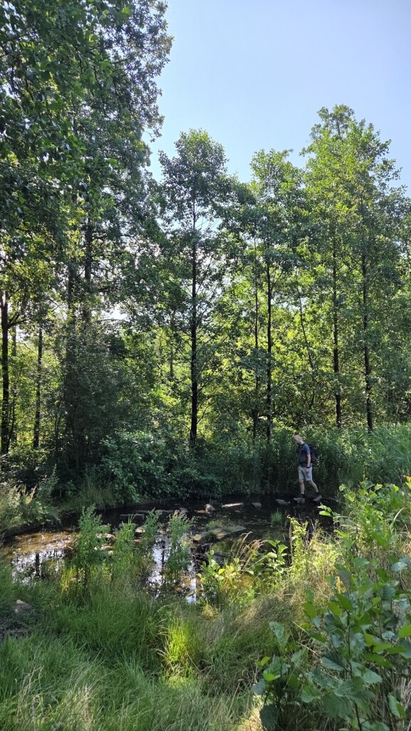 Wandelroute Springendal Bronnenroute