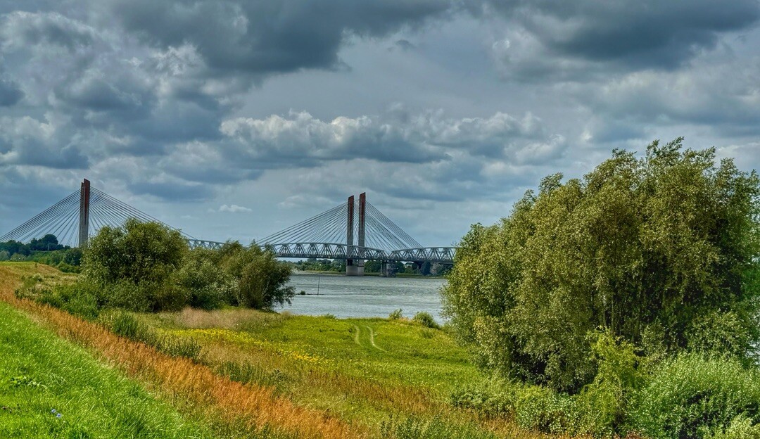 Rossum - Waardenburg (excl ommetje Zaltbommel (etappe 24)) · Maarten van Rossumpad etappe 3