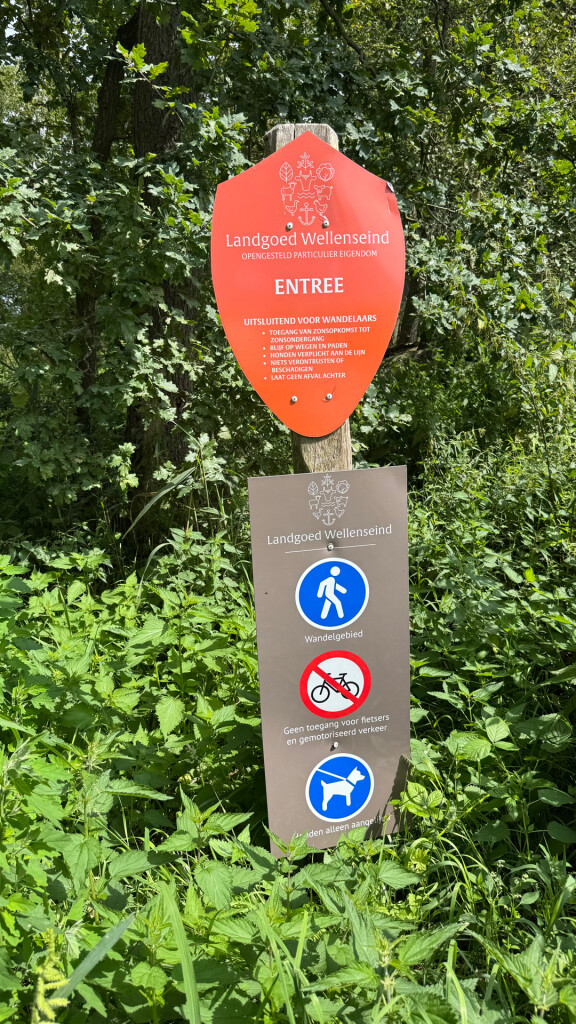 Bruine route wellseind