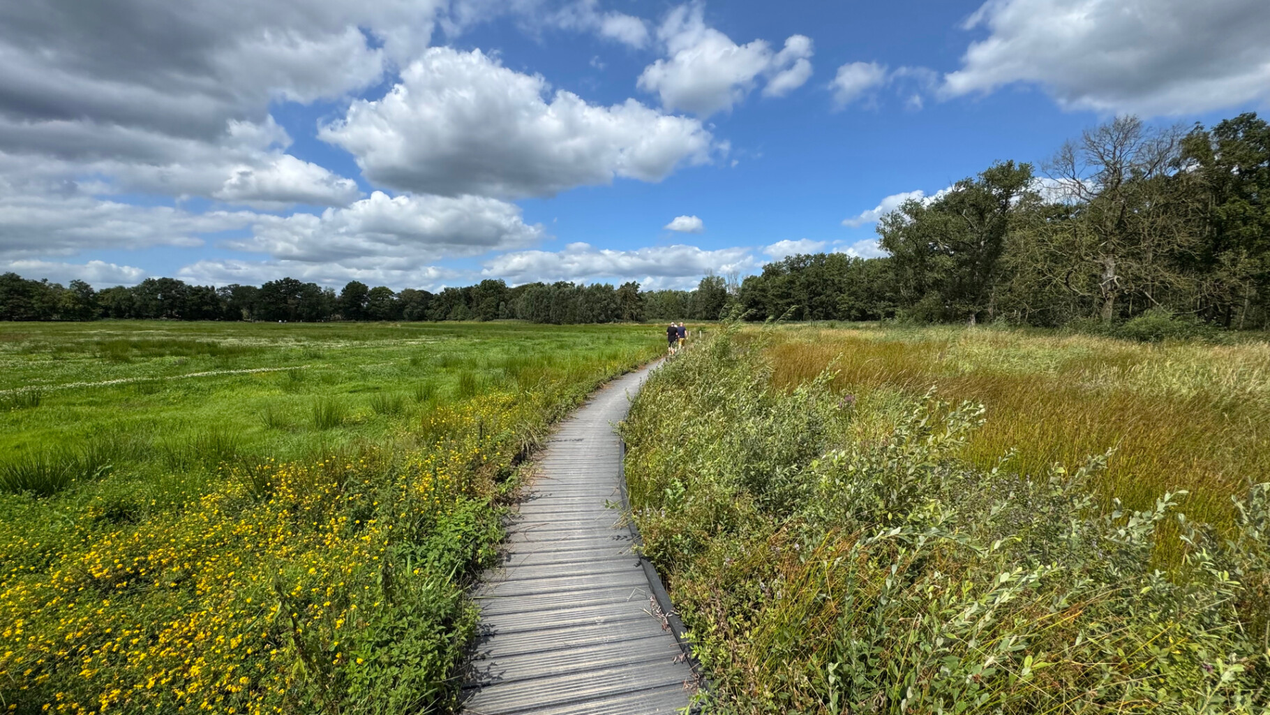 Bruine route wellseind