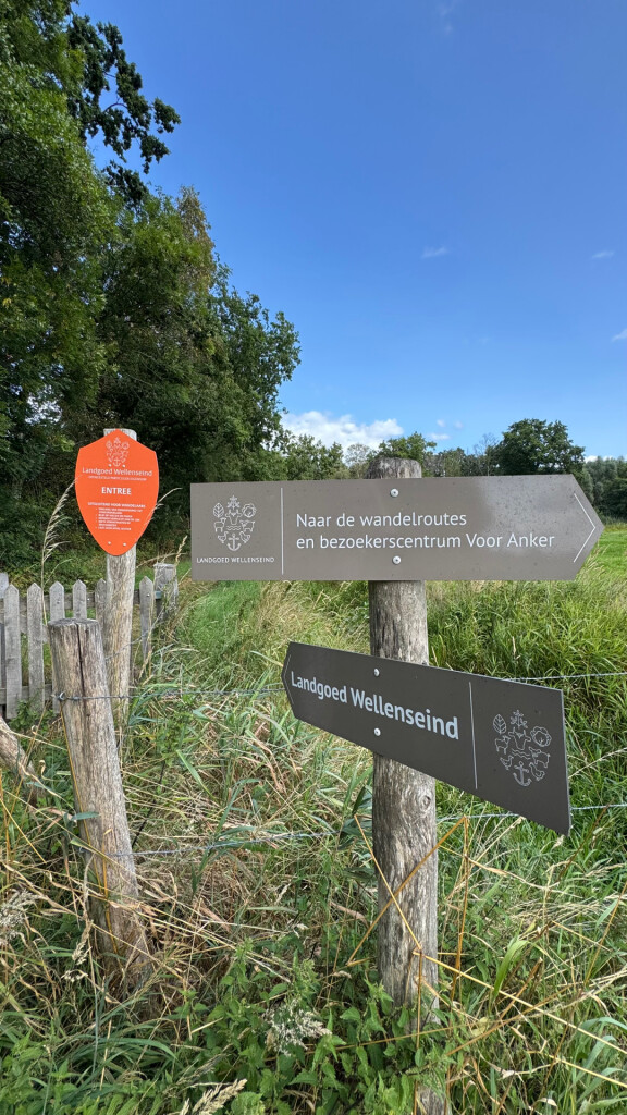 Bruine route wellseind