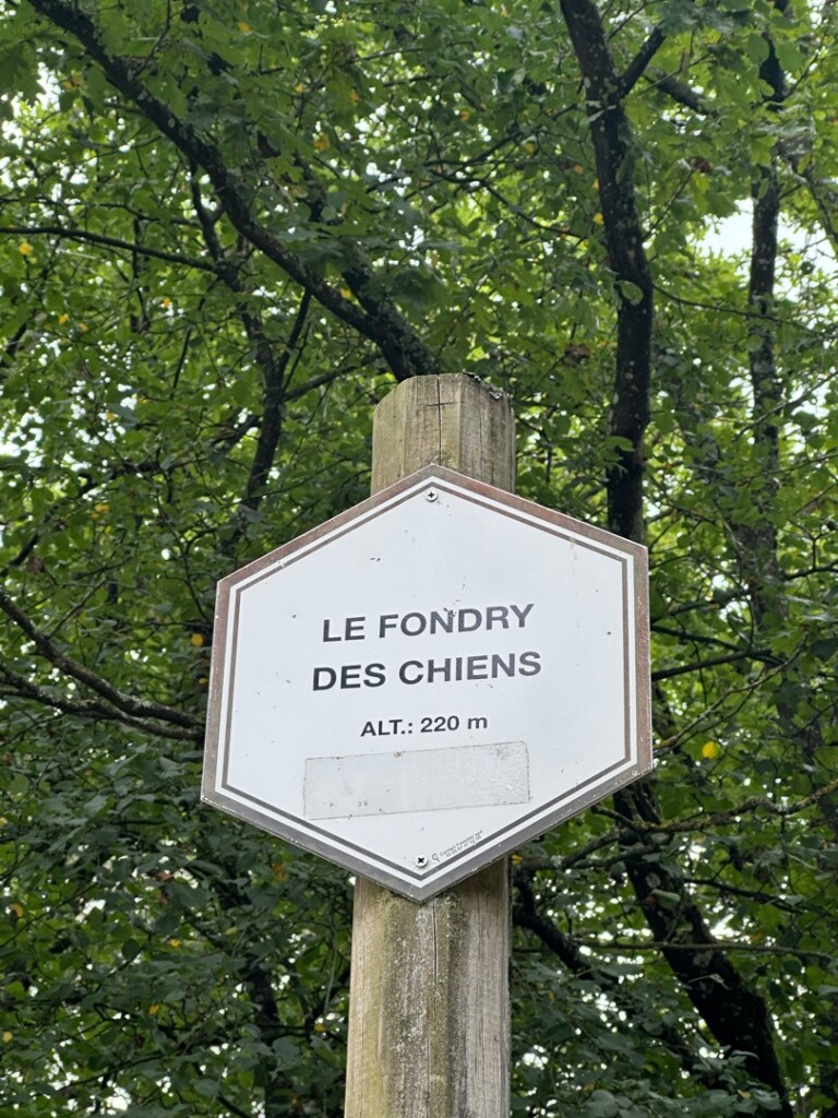 Fondry des Chiens vanuit Nismes