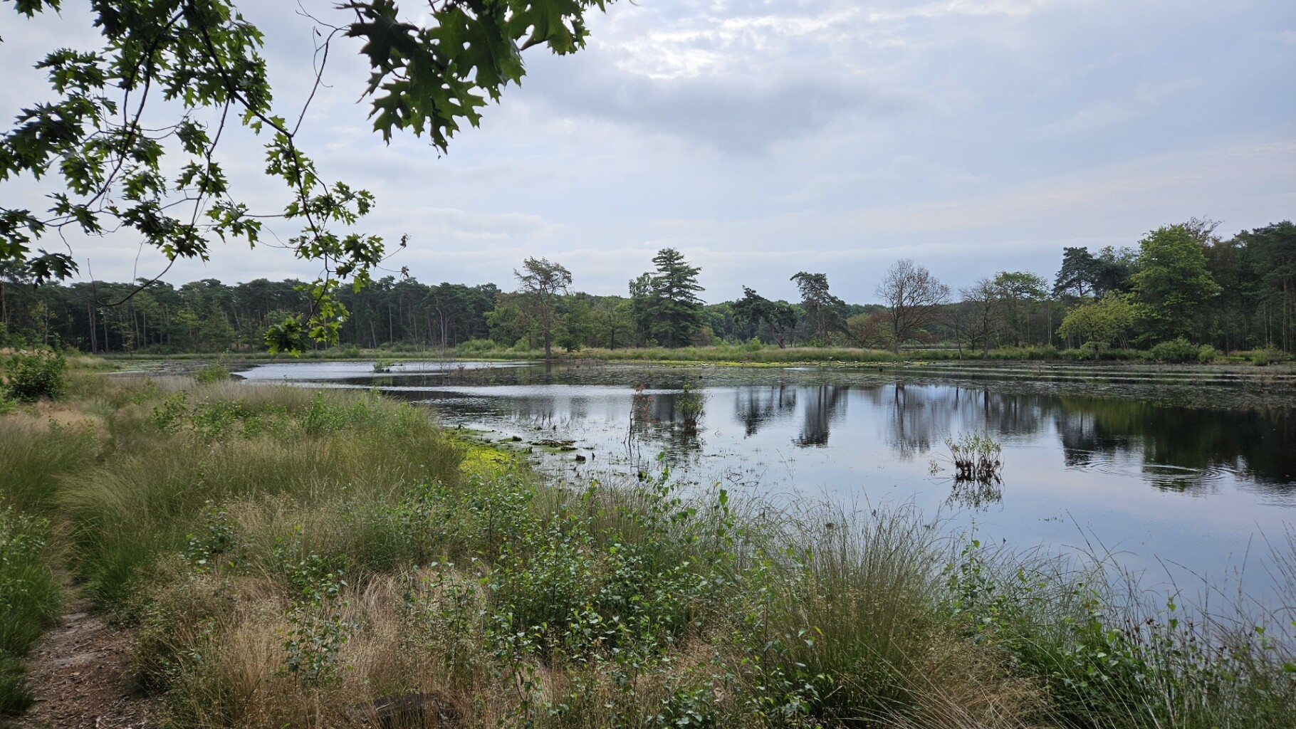 Rondje Veghels Buiten