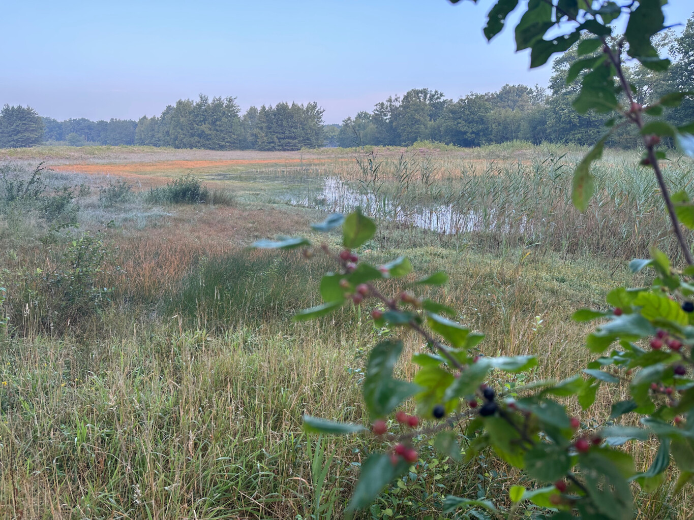 Veenhuizerveld - Terschuur · Marskramerpad etappe 12