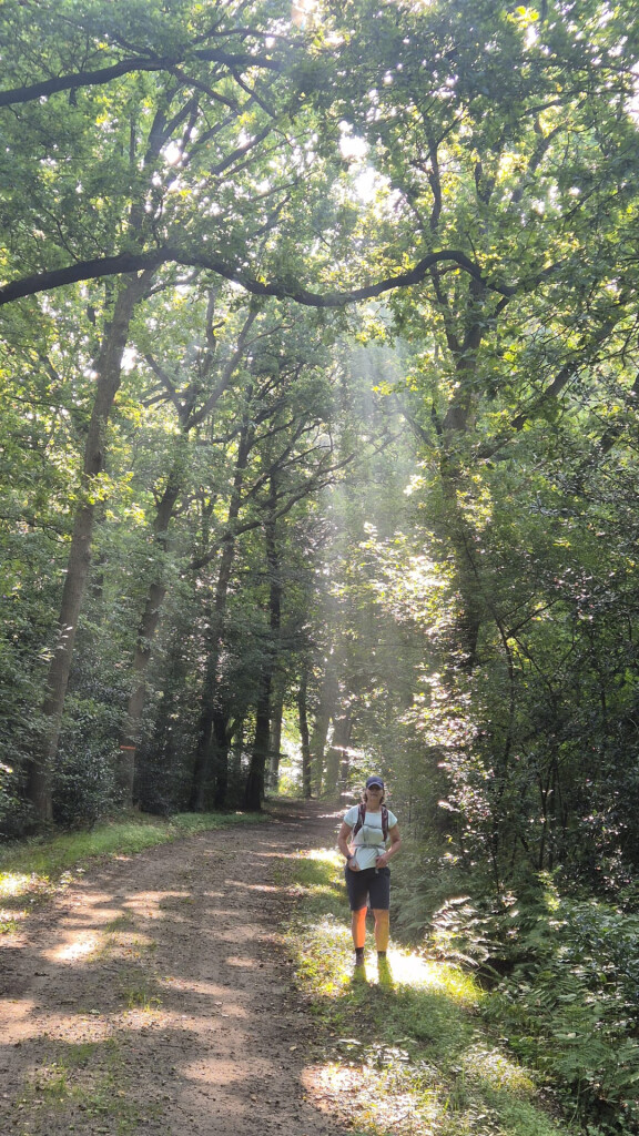 Kootwijk - Veenhuizerveld · Marskramerpad etappe 11