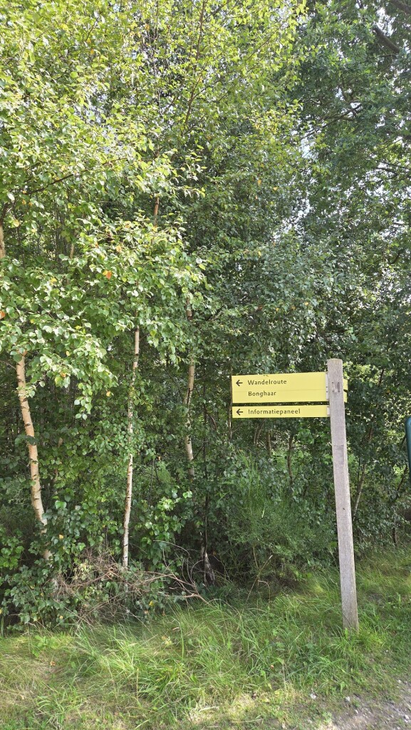 Wandelroute Bonghaar