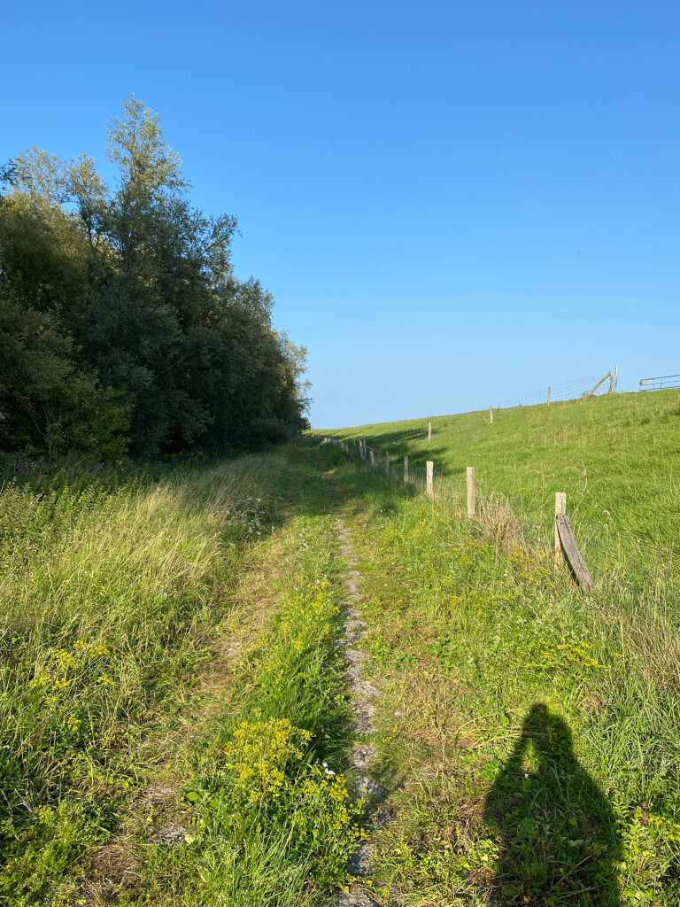 Hooge Zwaluwe - Moerdijk · Biesboschpad etappe 2
