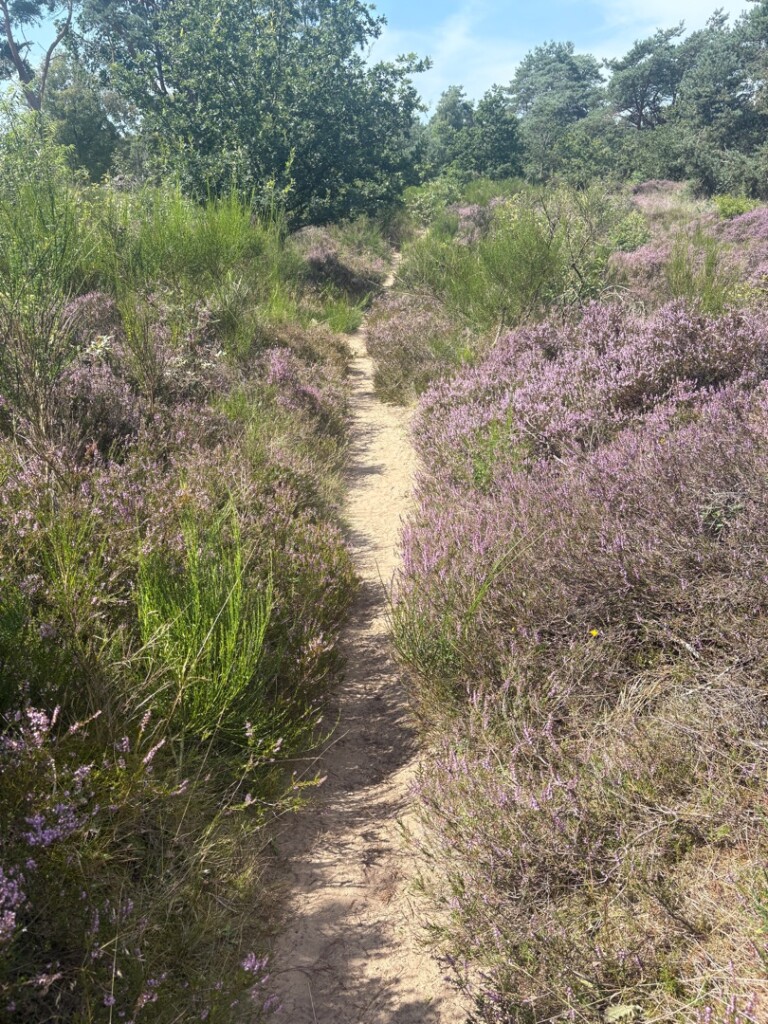 Oorlogsroute Havelte