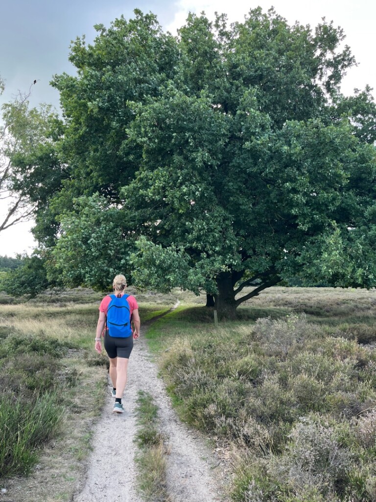 Westerheidroute (paars)