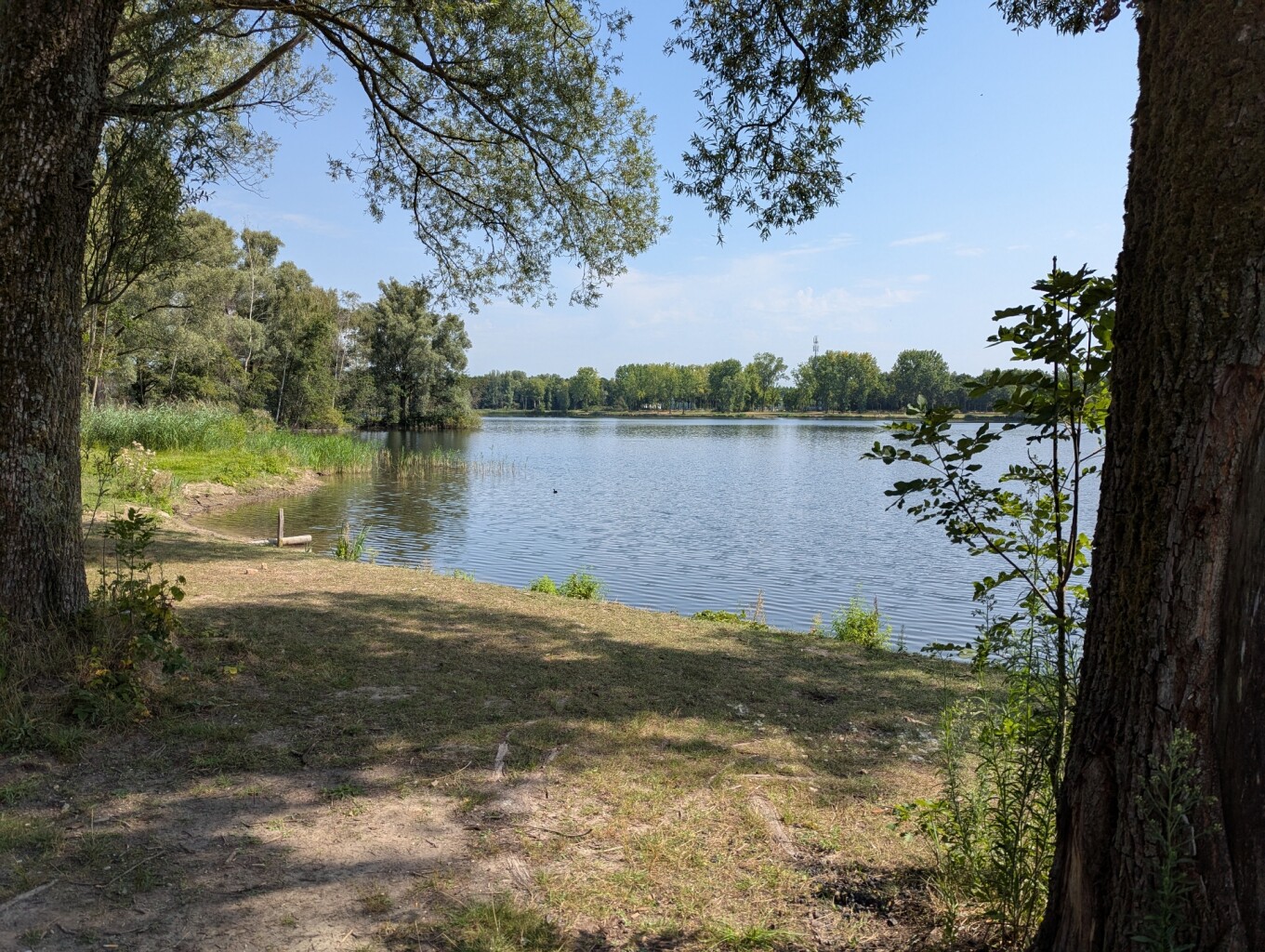 Mooie wandeling door de natuur, park en vijver