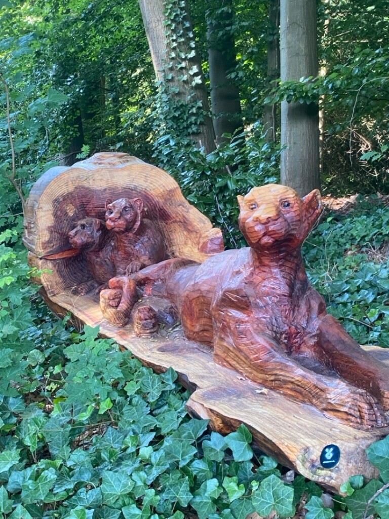 Norg - Tynaarlo · Groot Frieslandpad etappe 16