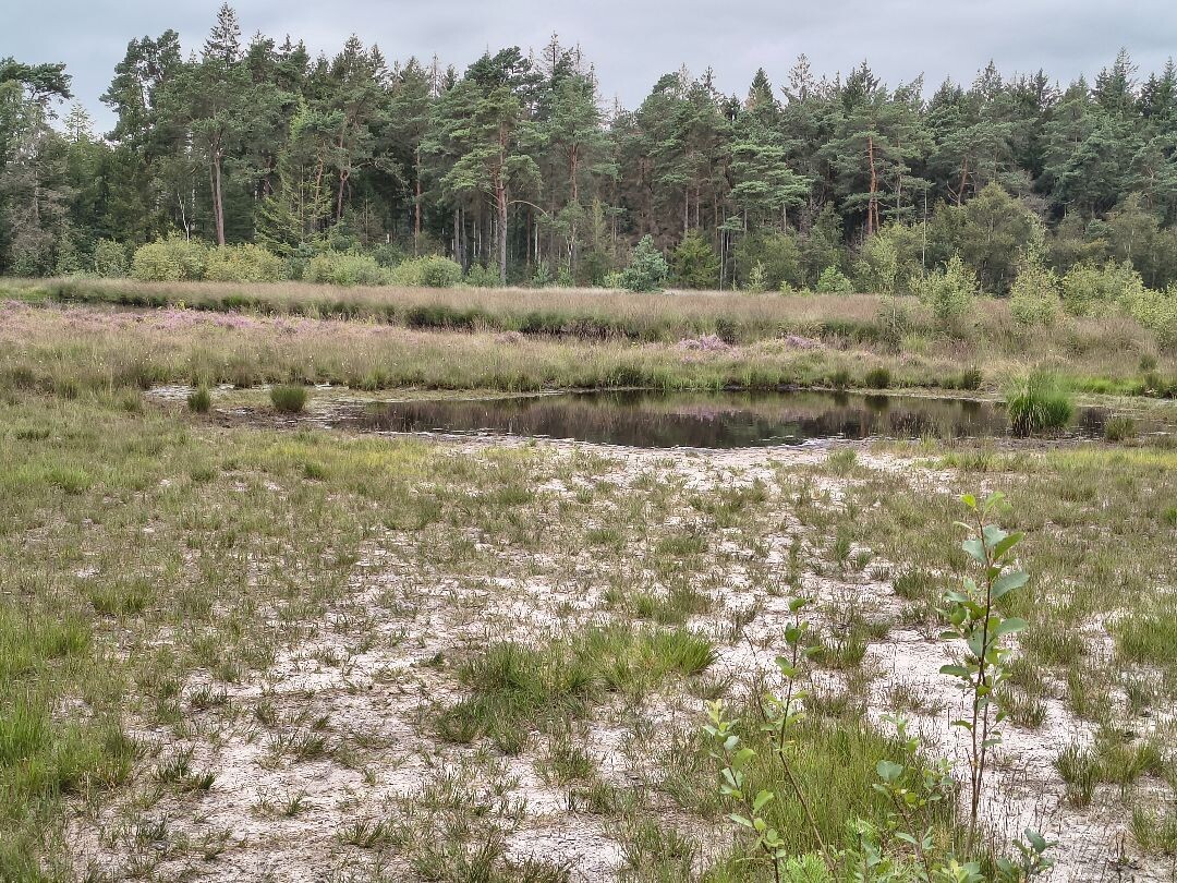 Wandelroute Ruinen oranje