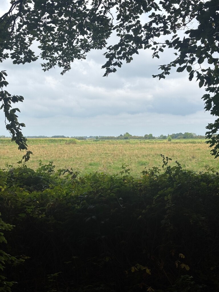 Ronde kinderboerderij velp