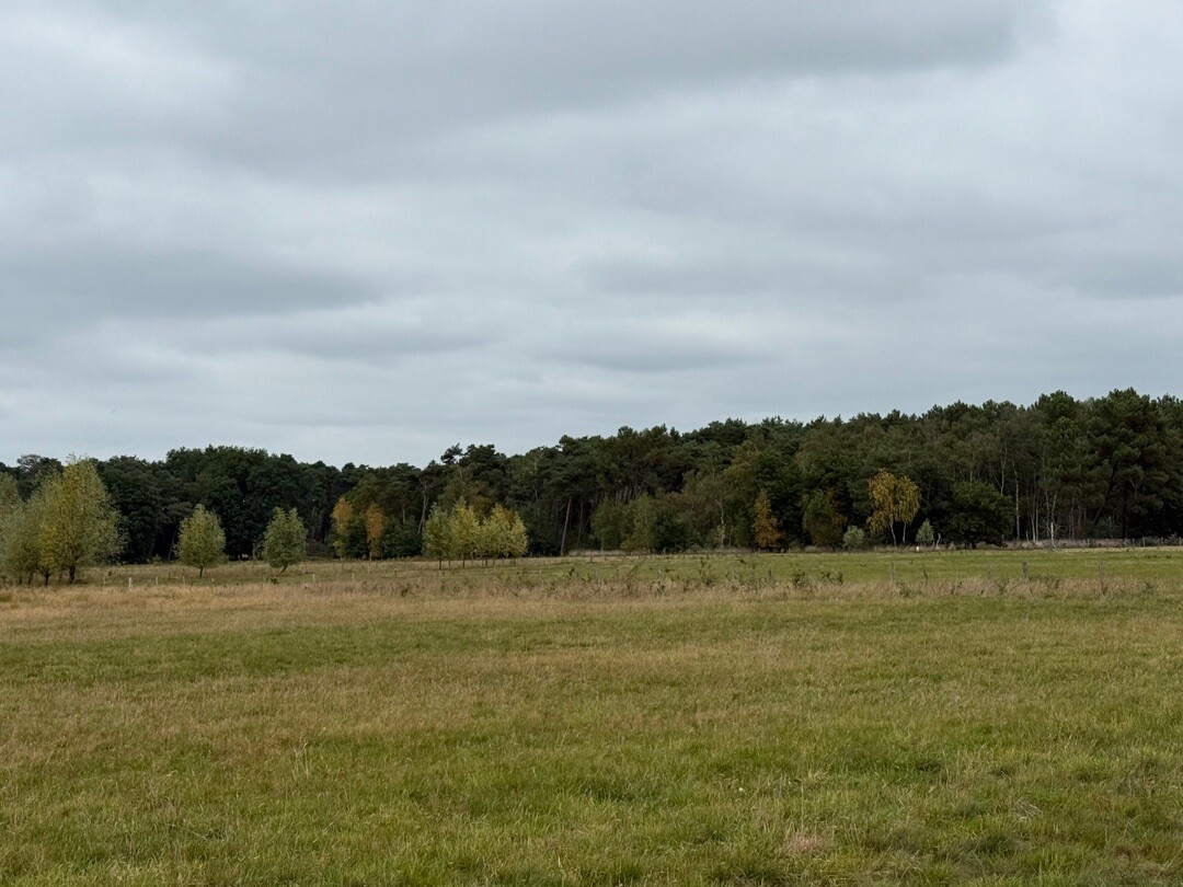 Struinen over de Kalmthoutse Heide