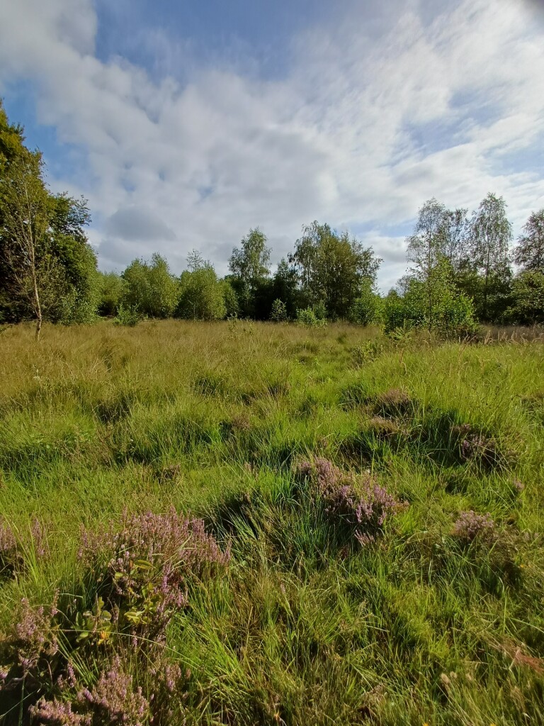 Wandelroute Wolvenspoor