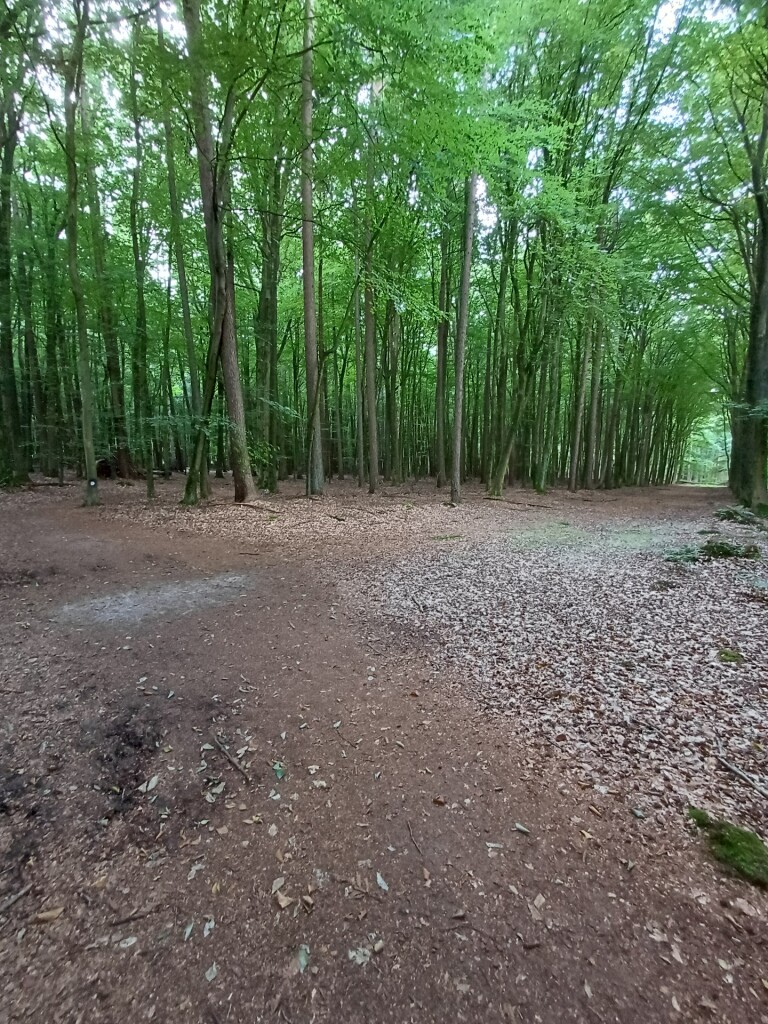 Wandelroute Wolvenspoor