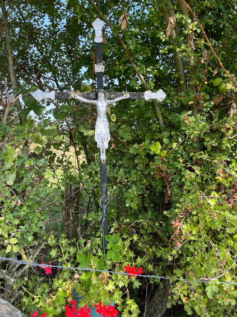 Dwars door het Geuldal