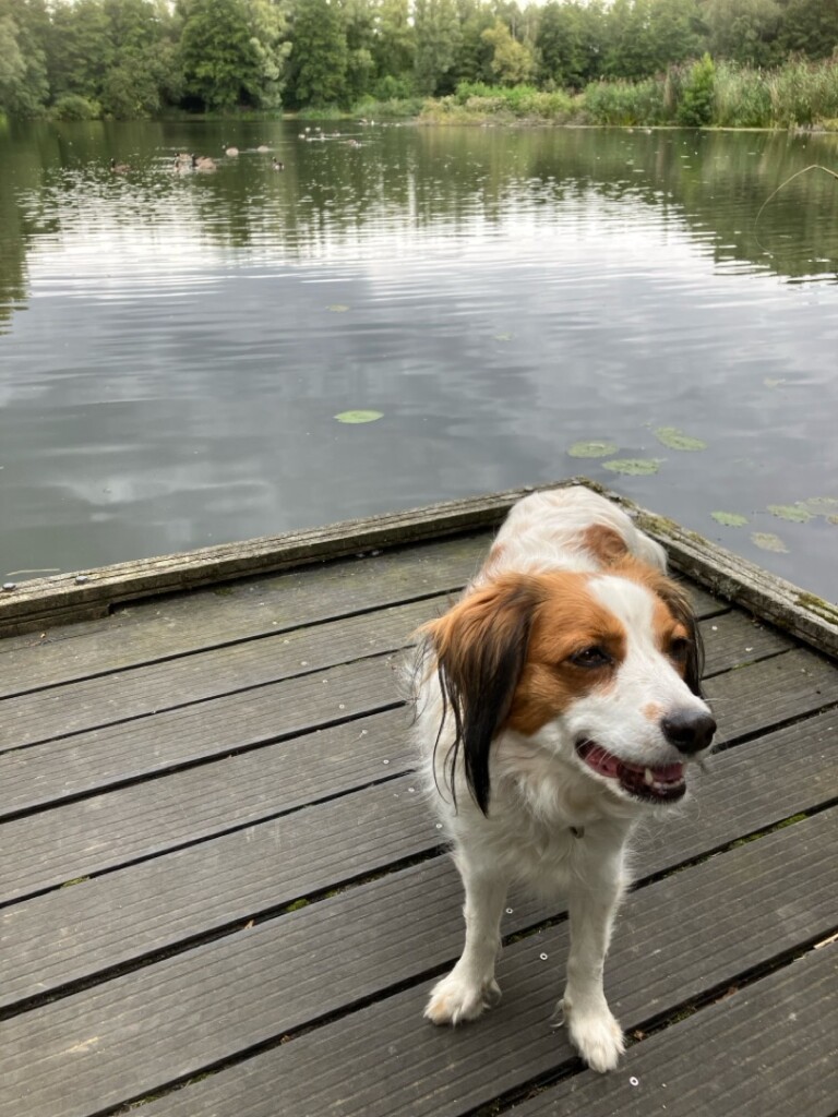 Beekdalroute SC09 Schinnen