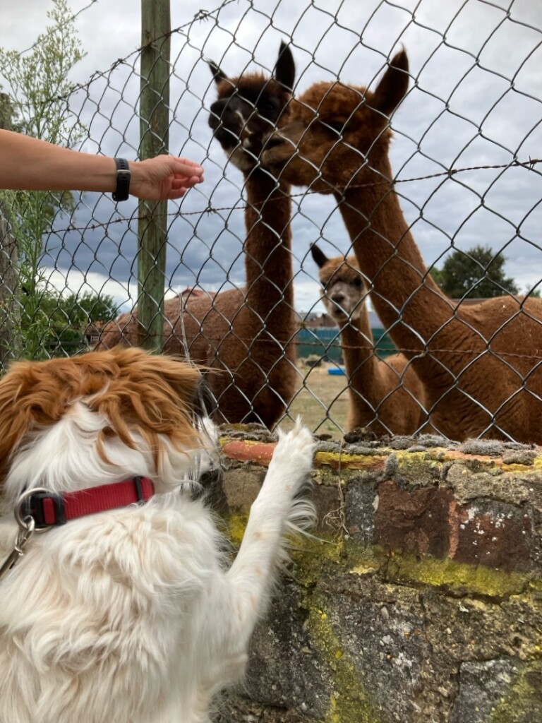 Beekdalroute SC09 Schinnen