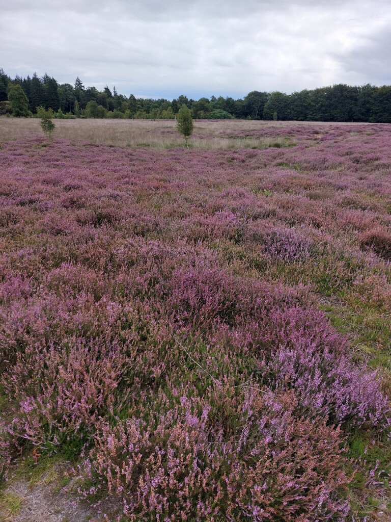 Meulendob wandelroute E 1