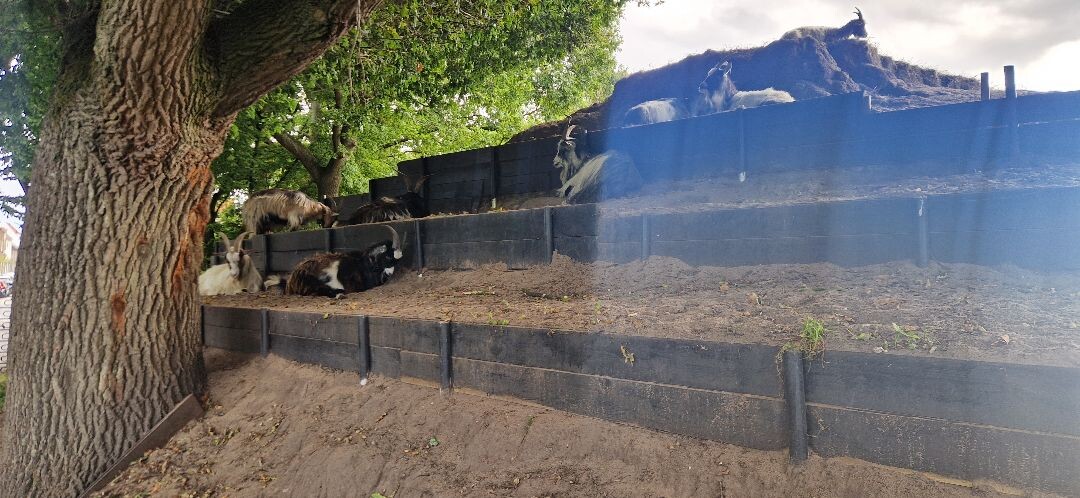 Muiderberg - Blaricum · Zuiderzeepad etappe 8