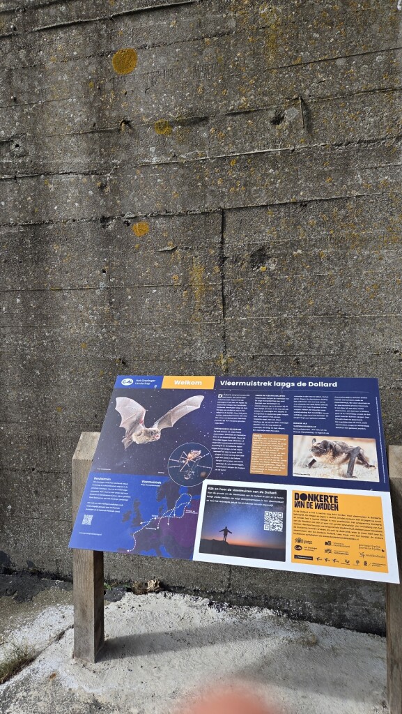 Rondwandeling bezoekerscentrum Dollard