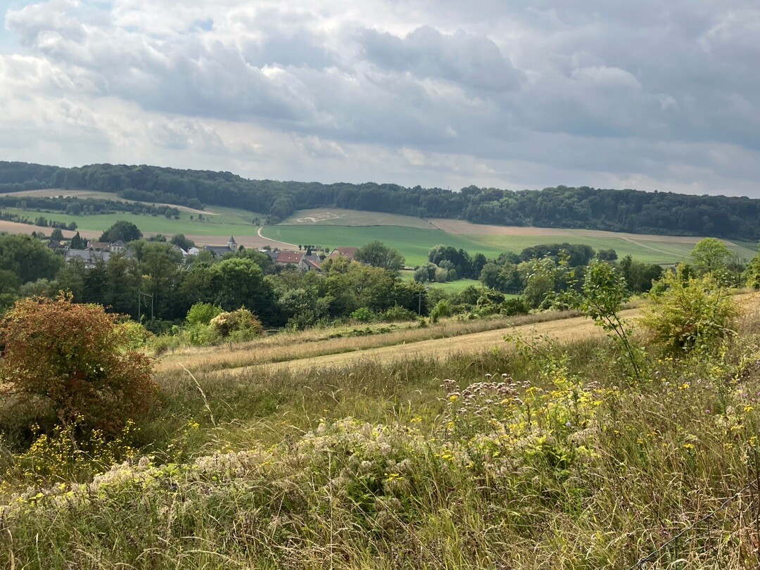 Schin op Geul & Bolkenberg Va17