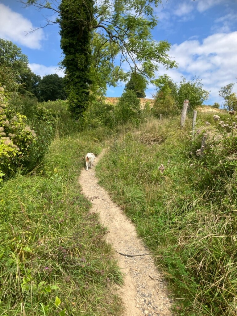 Schin op Geul & Bolkenberg Va17