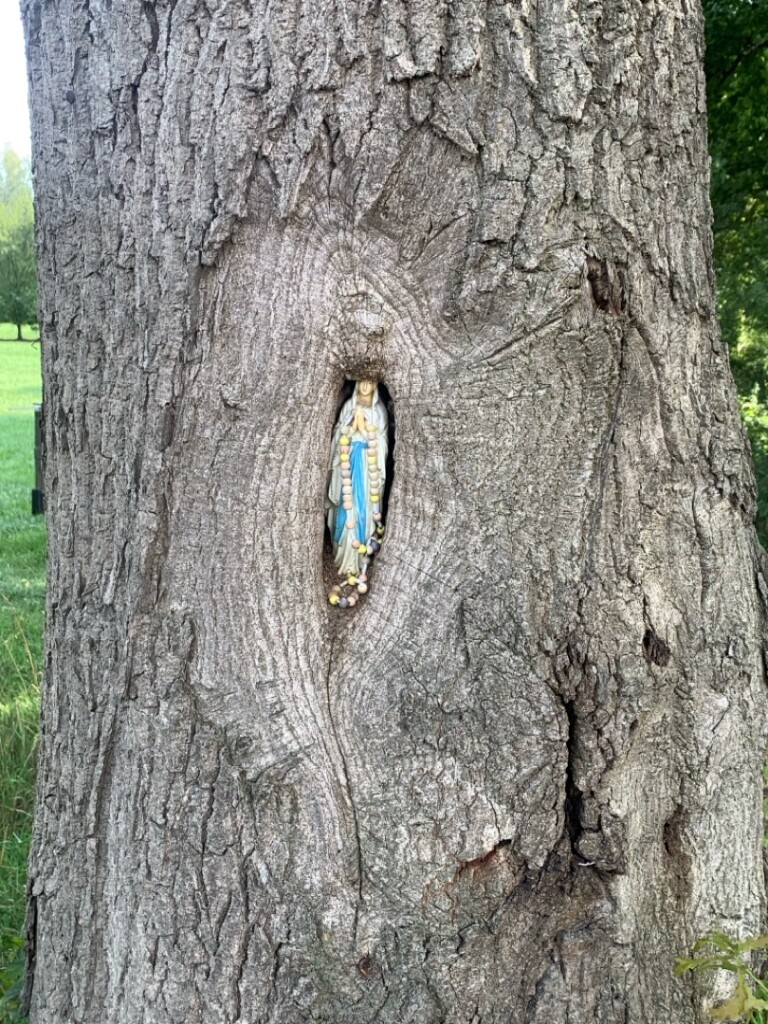 Velp - Sint Agatha · Ons Kloosterpad etappe 5