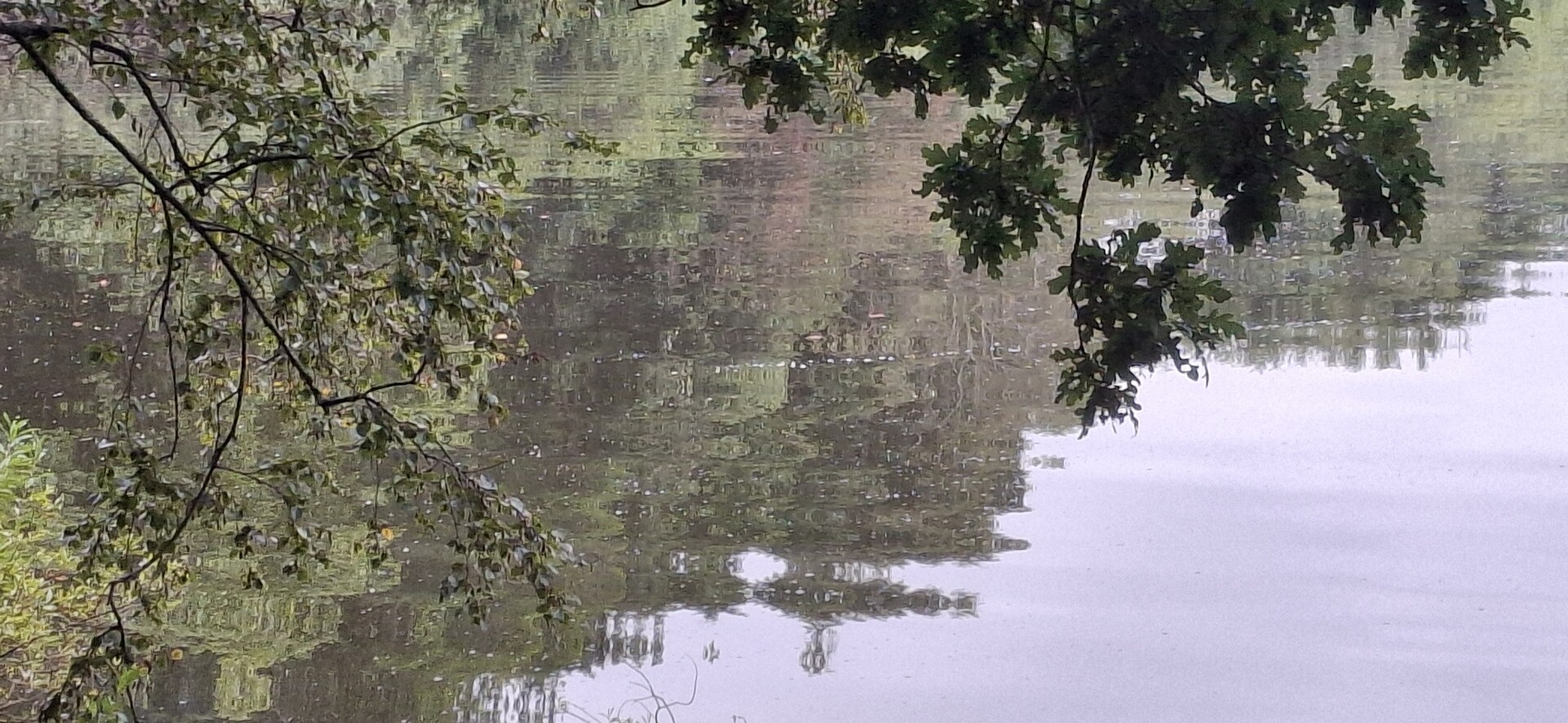 Wandelroute Westerpolder