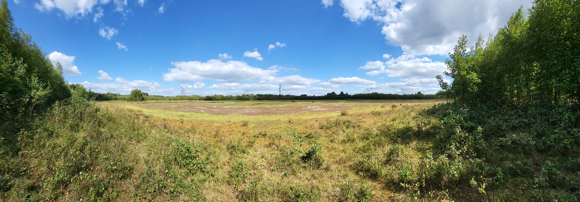 Wandelen door het vennenlandschap van Huis ter Heide
