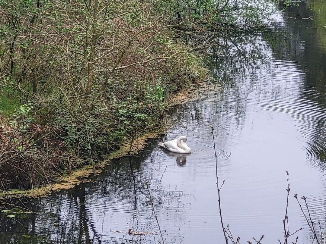 Kasteel Eerde - N340 · Overijssels Havezatenpad etappe 9