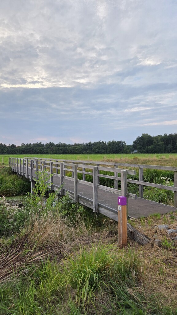 Gasselte - De Branden