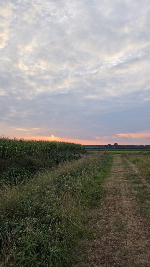 Gasselte - De Branden