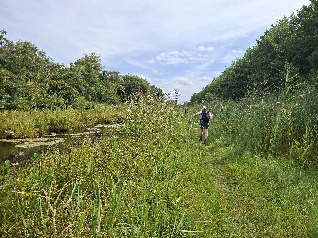 Kortenhoef - Nieuwer ter Aa · Floris V-pad etappe 3