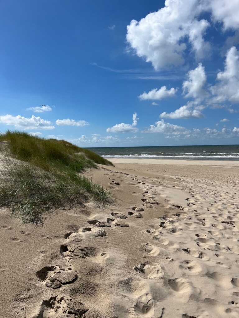 Bergen aan Zee - Schoorl · Groot Frieslandpad etappe 1