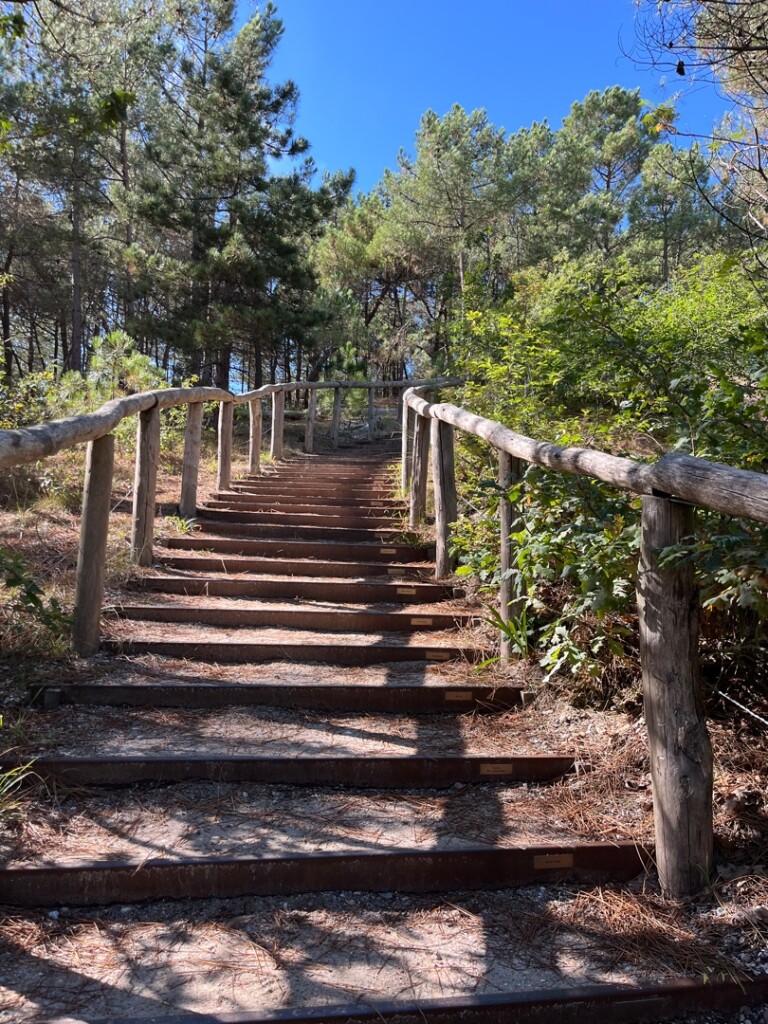 Bergen aan Zee - Schoorl · Groot Frieslandpad etappe 1