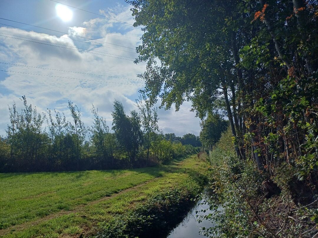 Rottevalle - Opeinde · Noardlike Fryske Wâlden etappe 8