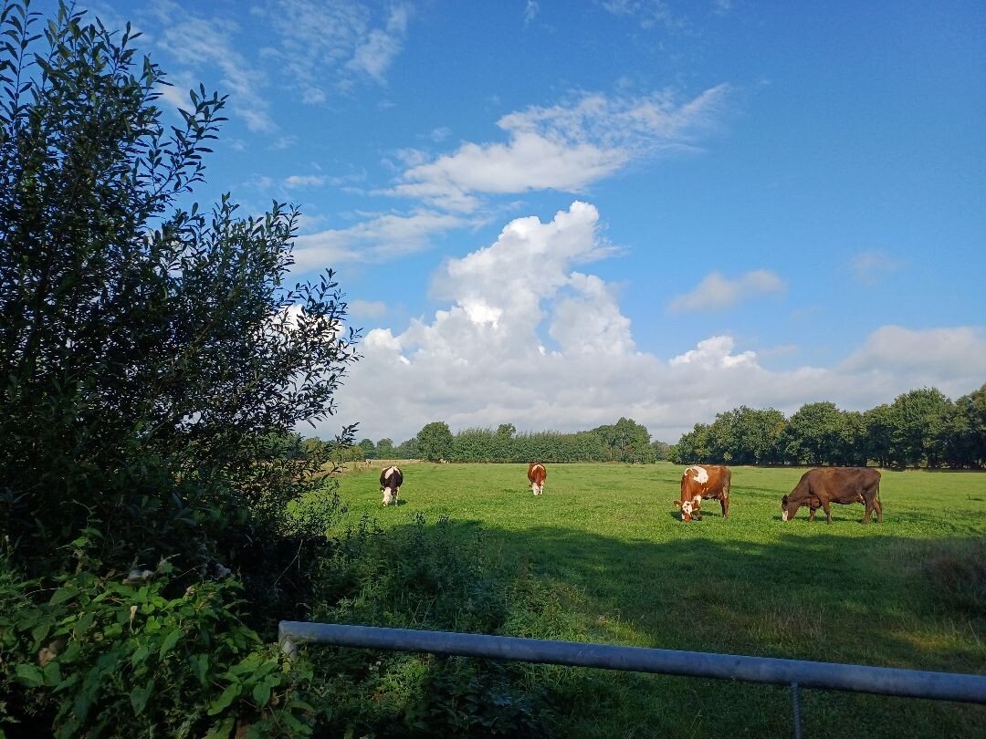 Rottevalle - Opeinde · Noardlike Fryske Wâlden etappe 8