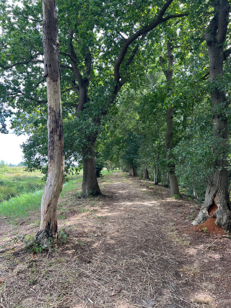 Schellingwoud - Weesp · Trekvogelpad etappe 7