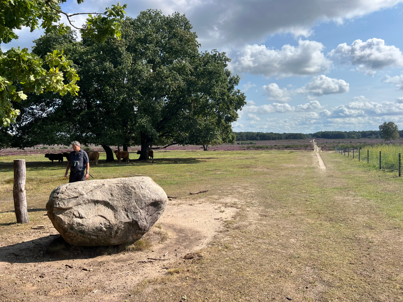 Weesp - Bussum · Trekvogelpad etappe 8