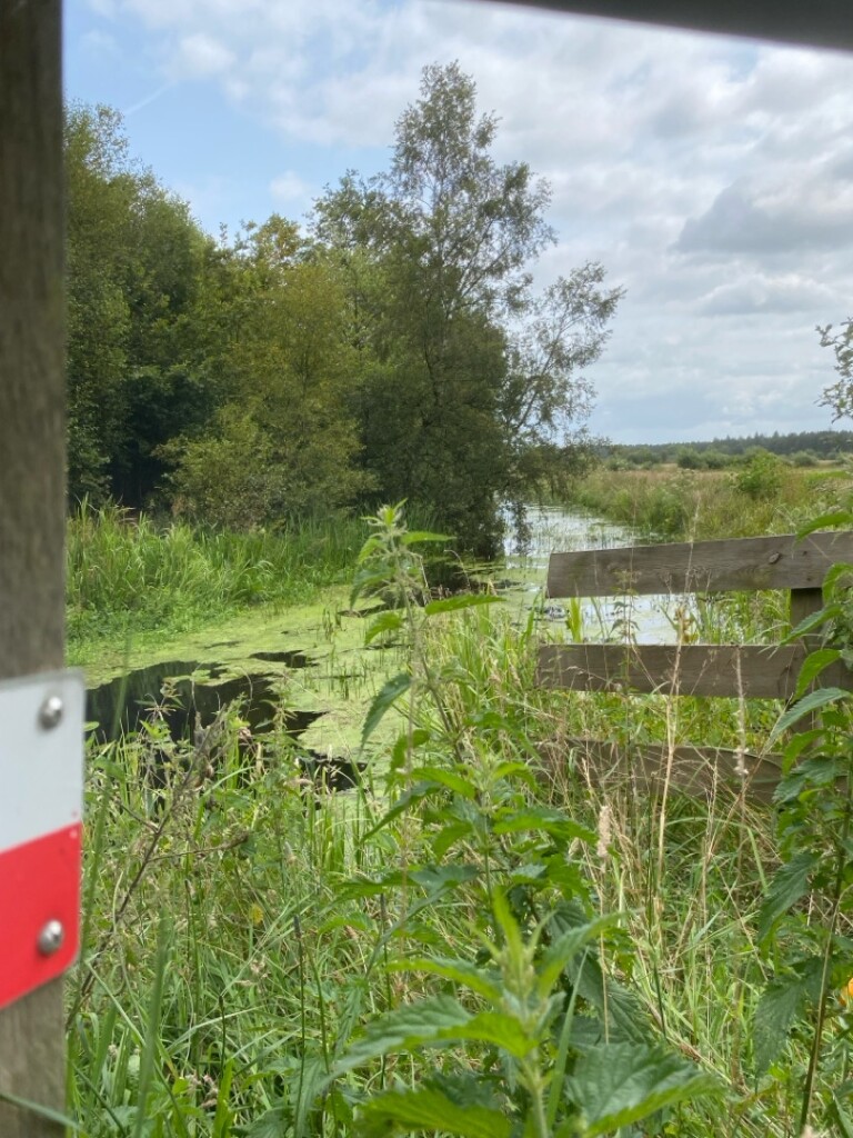 Beetsterzwaag - Waskemeer · Groot Frieslandpad etappe 14