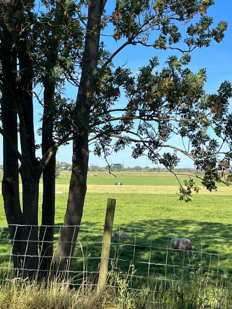 Aetsveldroute (groen)