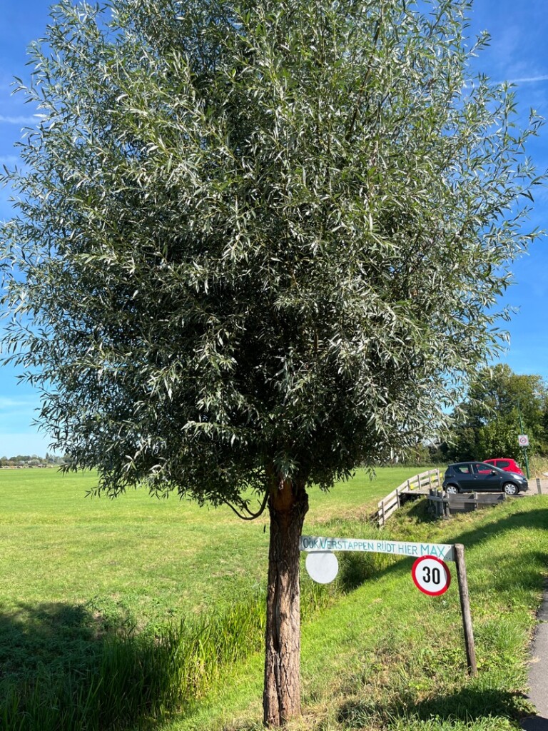 Aetsveldroute (groen)