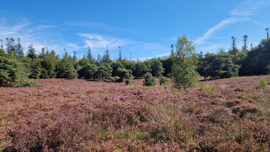 Wandelroute In het spoor van de mammoet