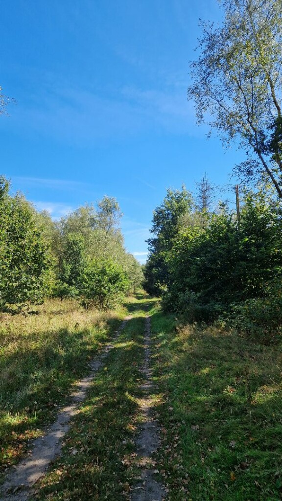 Wandelroute In het spoor van de mammoet